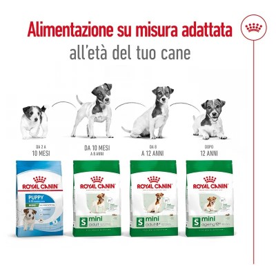 Royal Canin Mini Ageing 12+