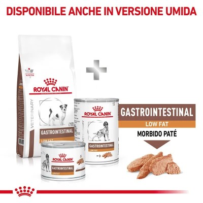 Royal Canin Veterinary Canine Gastrointestinal Low Fat Small Dog