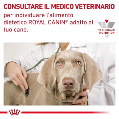 Royal Canin Veterinary Canine Gastrointestinal Low Fat Small Dog